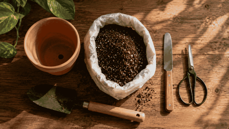 Repotting supplies laid out on a wooden surface including a terracotta pot, potting mix, trowel, and scissors — everything needed to repot a houseplant
