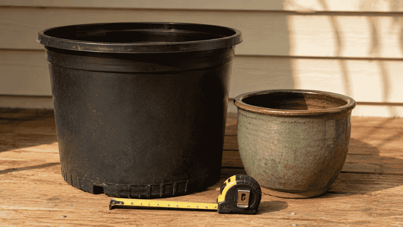 A large 5-gallon nursery pot next to a small 2-gallon pot on a wooden deck — pot size is one of the most important factors when growing tomatoes in containers
