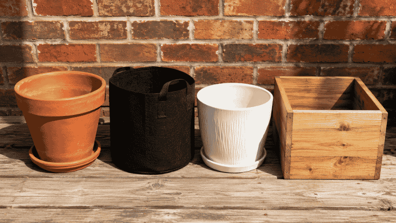 Different container types for gardening arranged side by side — terracotta pot, fabric grow bag, ceramic pot, and wooden planter box showing the options available for container gardening
