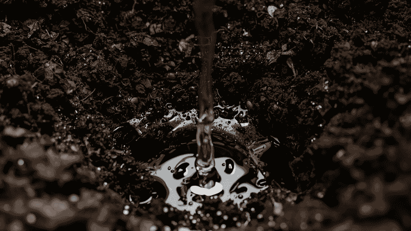 A close-up shot showing water saturating dark, rich potting soil in a container, with droplets just beginning to escape the bottom drainage hole.